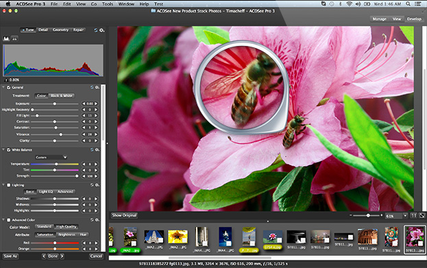 Uninstall ACDSee Mac Pro 3