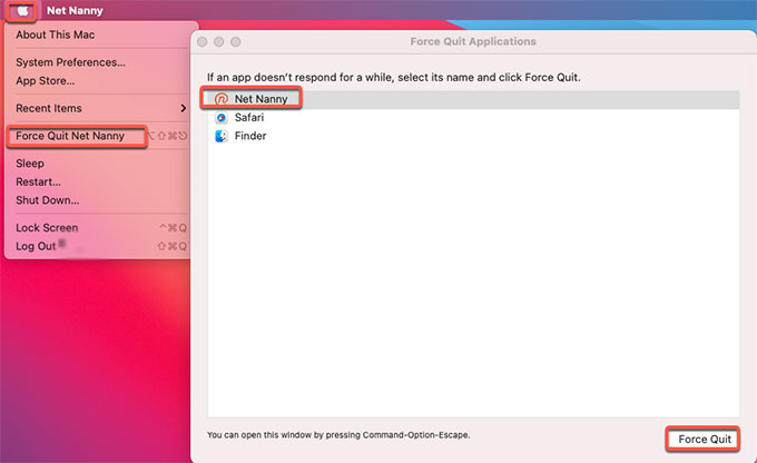 force quit Net Nanny