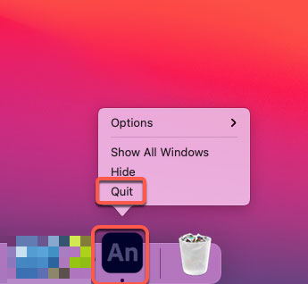 quit Adobe Animate