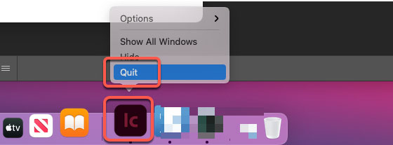 quit Adobe Incopy