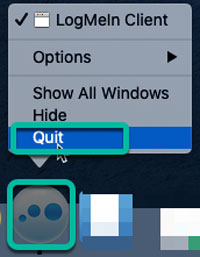 Quit LogMeIn
